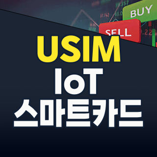 USIM, 구시대의 유물? No! 2026년 반전의 투자 기회 포착!