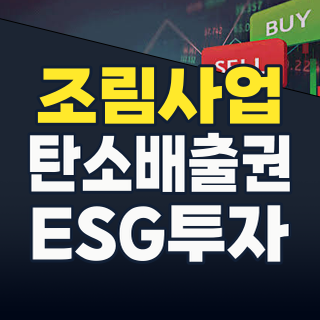 2026년, 숲에 투자할 시간! 조림사업 테마주, 기후변화 시대의 새로운 금맥을 찾다