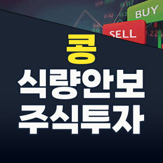 2026년 하반기, ‘식량 안보’ 핵심 ‘콩/대두’ 테마주, 지금이 매수 적기인가?